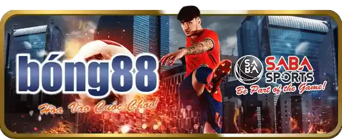 Cá cược thể thao với tỷ lệ cược hấp dẫn tại SC88 VIP